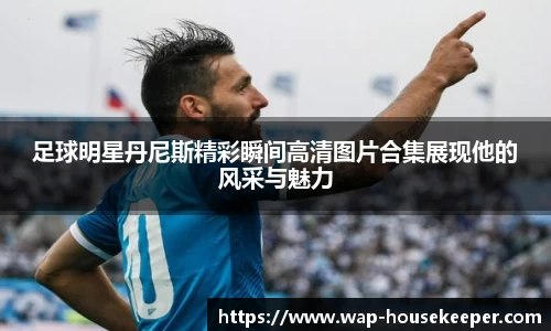 足球明星丹尼斯精彩瞬间高清图片合集展现他的风采与魅力