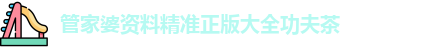 管家婆资料精准正版大全功夫茶